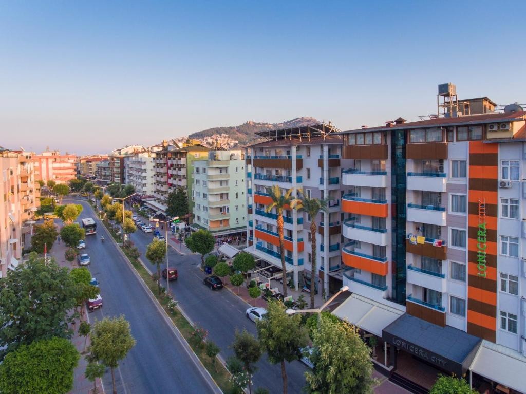 LONICERA CITY KLEOPATRA