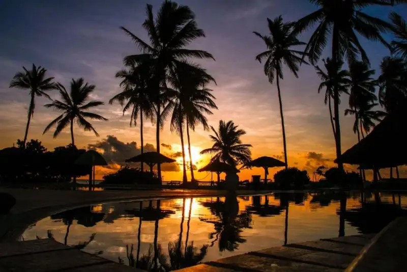 FIVE PALMS BWEJU