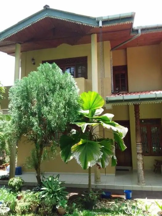 SERENITY VILLA HIKKADUWA