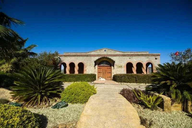TEMENOS LUXURY SUITES HOTEL & SPA