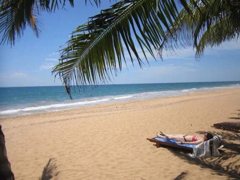 JANUS PARADISE REST GUEST HOUSE
