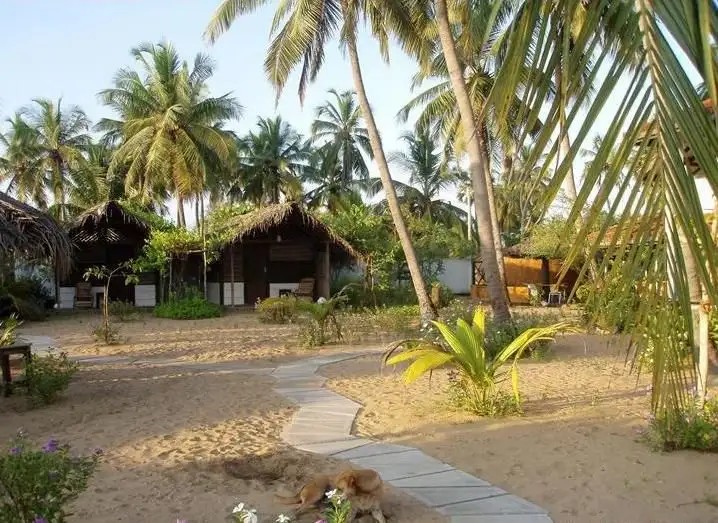 STARDUST BEACH