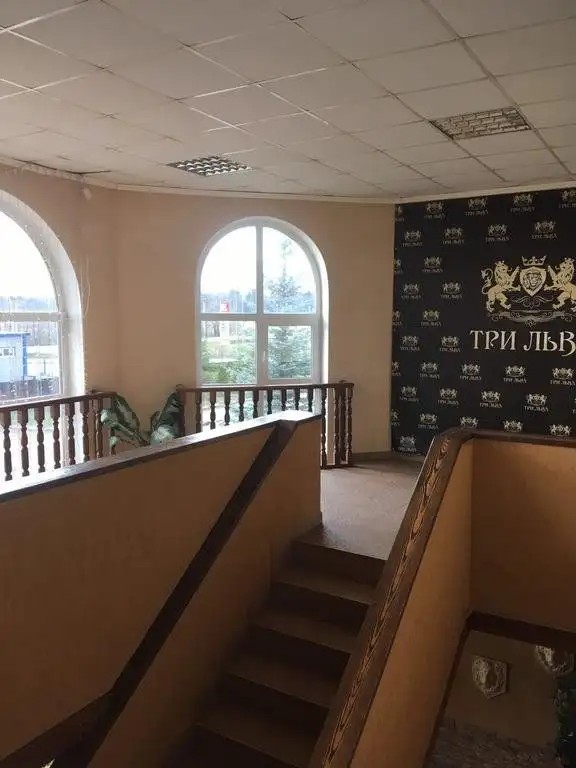 ТРИ ЛЬВА