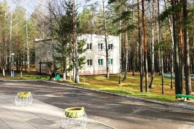 БЕРЕЗИНА
