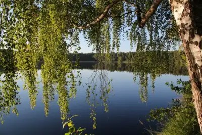 БРЕСТАГРОЗДРАВНИЦА (БЫВШ. БЕРЕСТЬЕ)