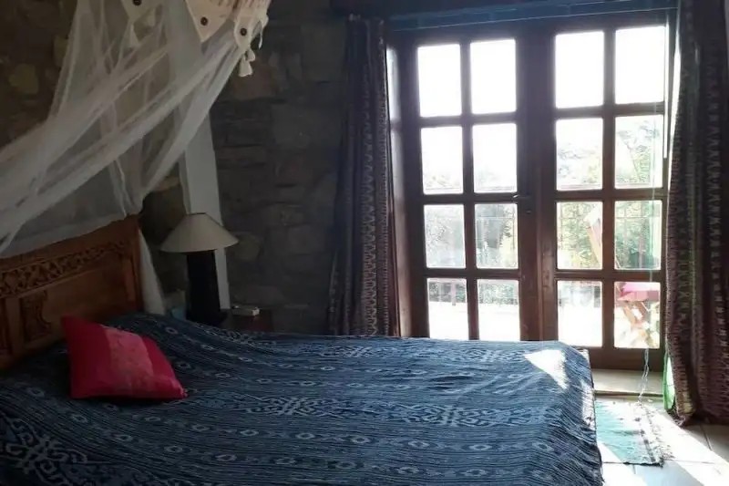 LAZY LIZARD BOUTIQUE HOTEL