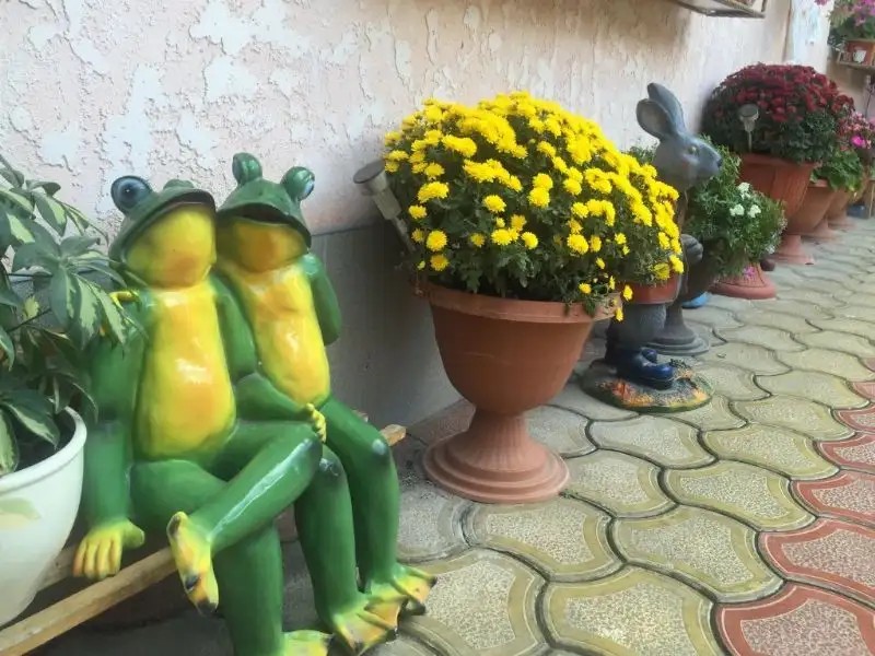 ГОСТЕВОЙ ДОМ У ДМИТРИЯ