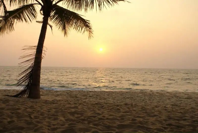 A BEACH SYMPHONY