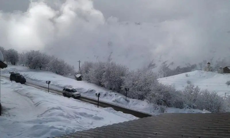 SONCHO GUDAURI