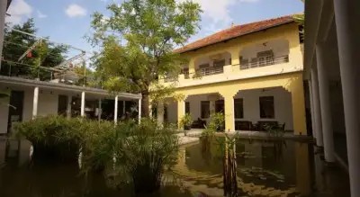 THE PLANTATION