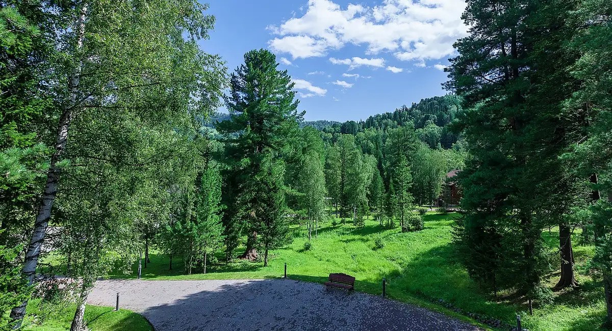 COSMOS COLLECTION ALTAY RESORT (АЛТАЙ РЕЗОРТ)