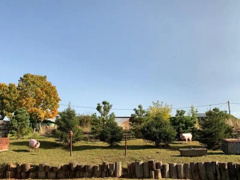 У БОРИСЫЧА