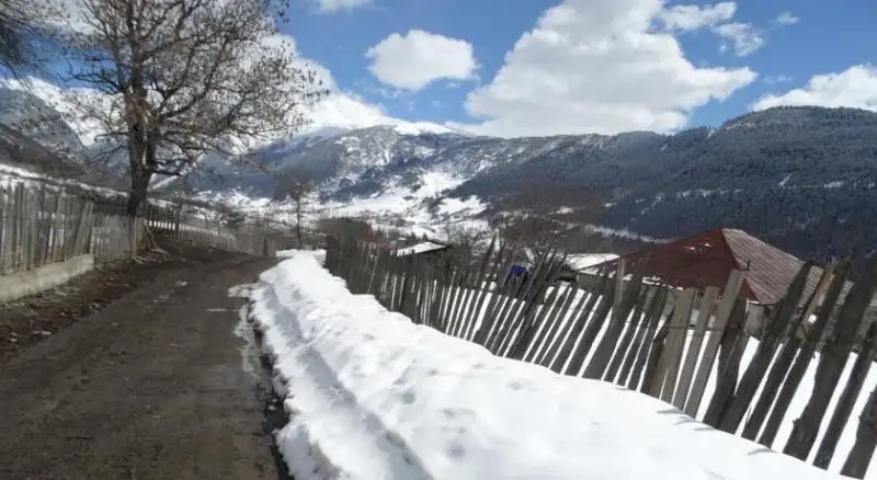 TETNULDI
