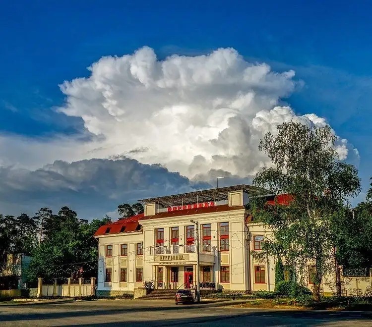 БОРОВНИЦА