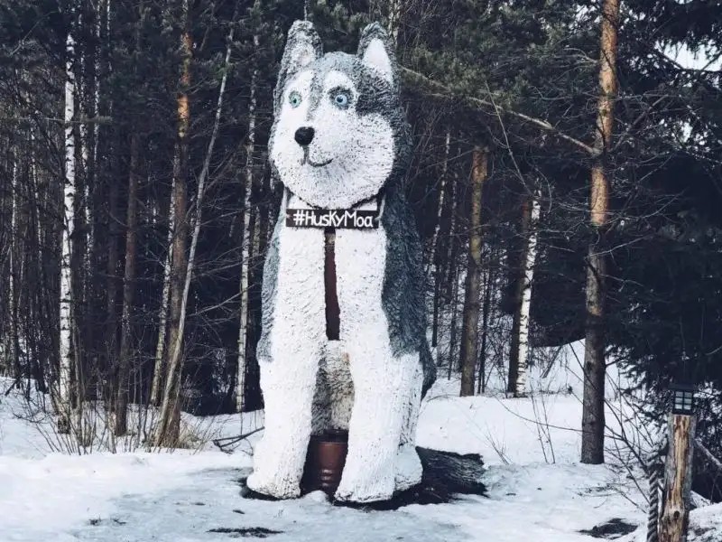 ХАСКИ МОА