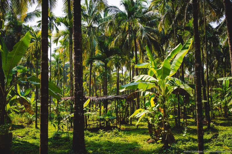 SUNMAR MINIMUM GOA