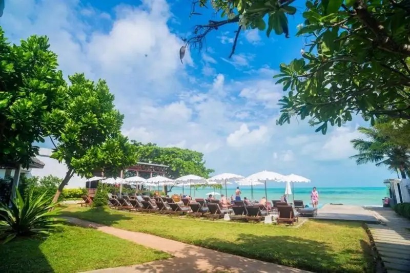 THE HIVE HOTEL SAMUI