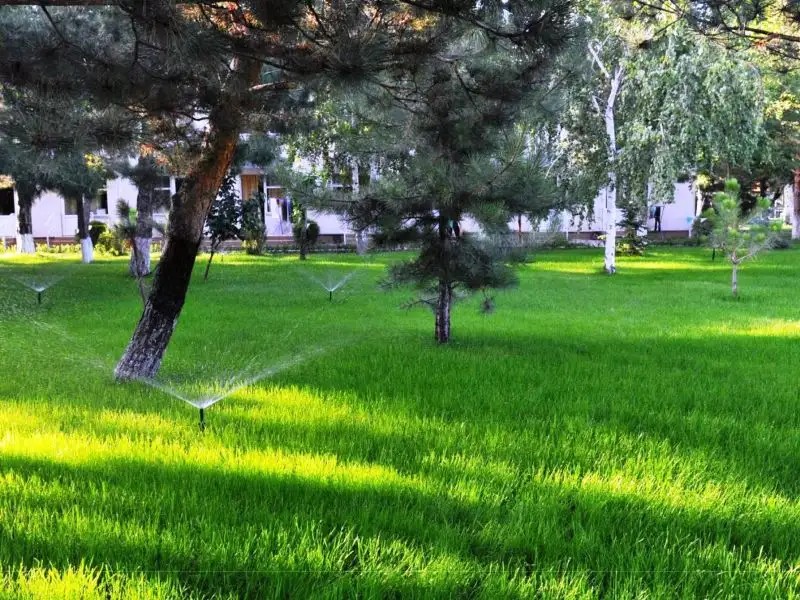 ДЕЛЬФИН ПЛЮС ПАНСИОНАТ