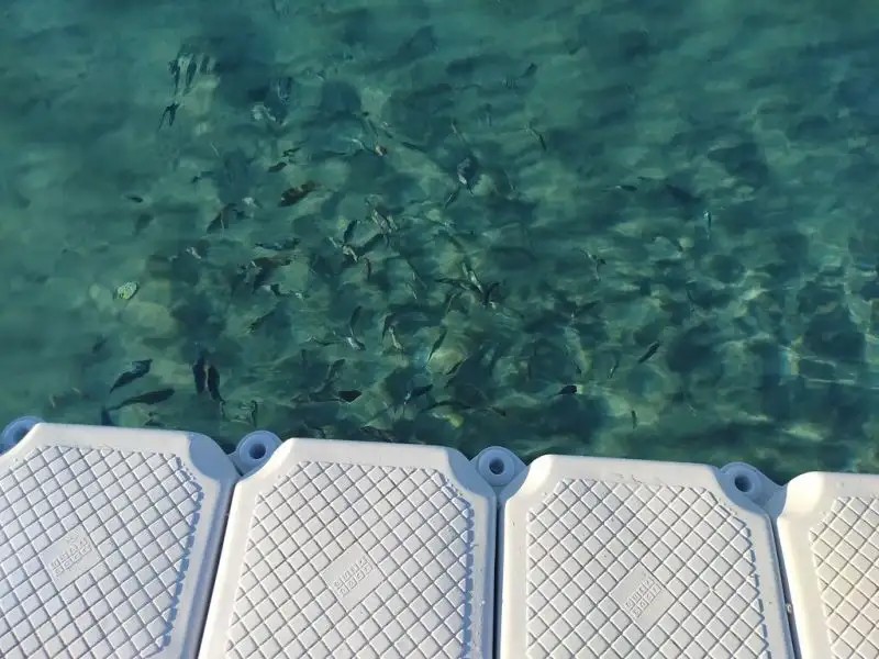 ZIGANA RESORT ALACATI
