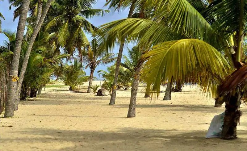 ABAD TURTLE BEACH