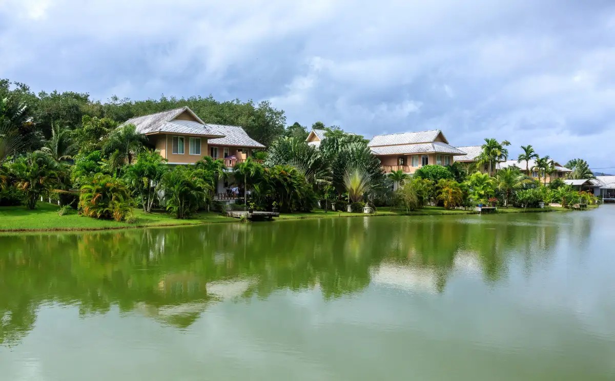 THELIFECO WELLBEING DETOX CENTER