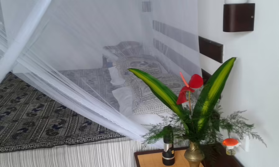 LUMI HOUSE