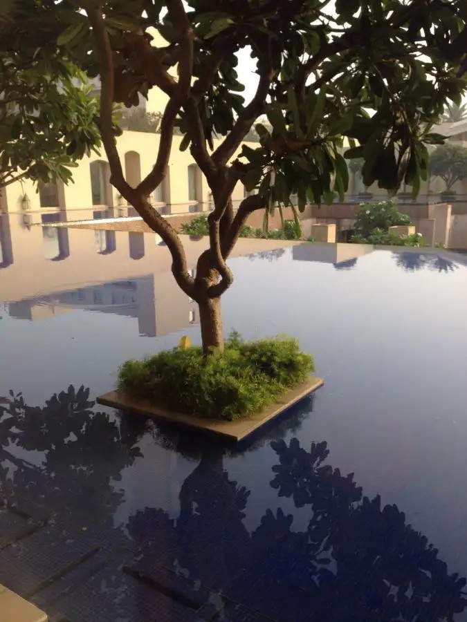 TRIDENT GURGAON