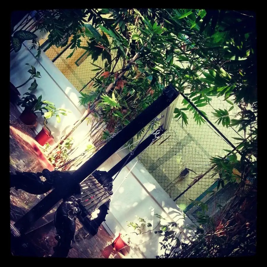 PANJIM INN