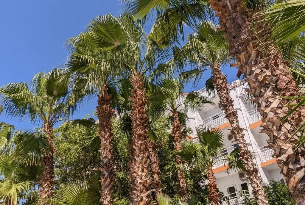 UK HOTEL KIRIS (EX. KIRIS ROSE, SAILORS PARK)