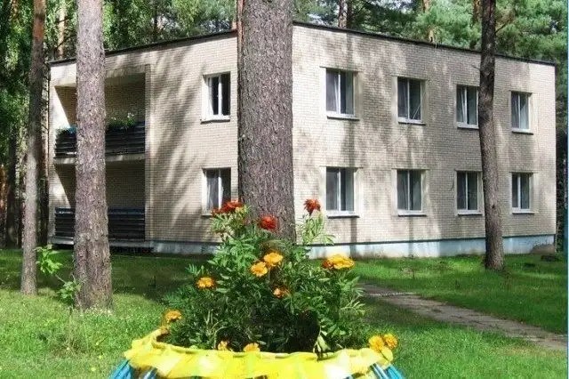 БЕРЕЗИНА