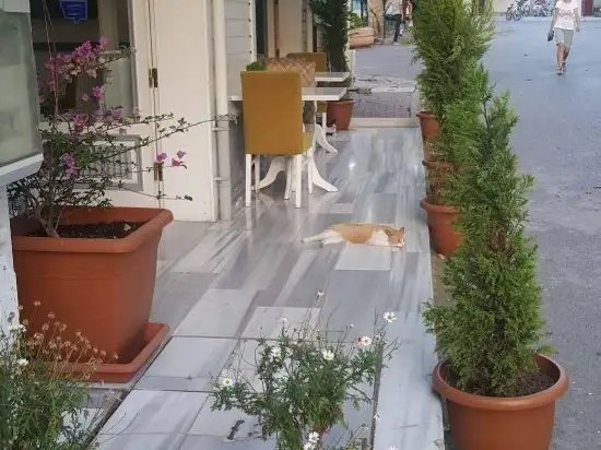 CENAR KONAK HOTEL