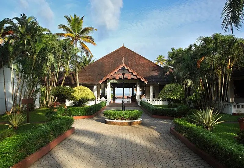 ABAD WHISPERING PALM