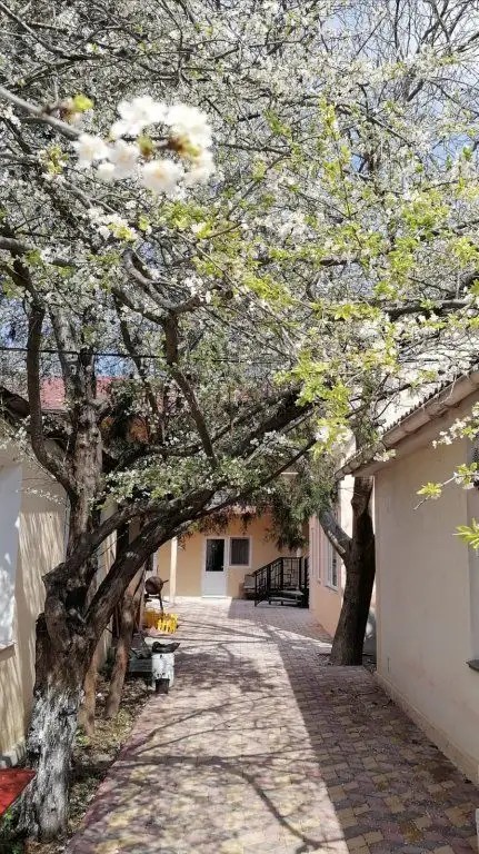 М33