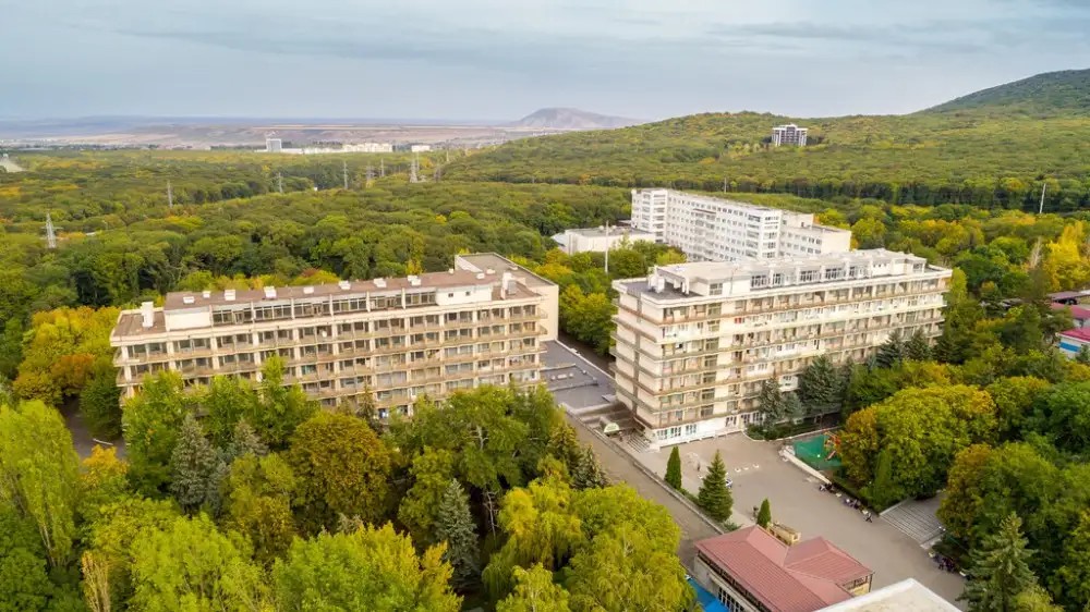 ЛЕСНАЯ ПОЛЯНА