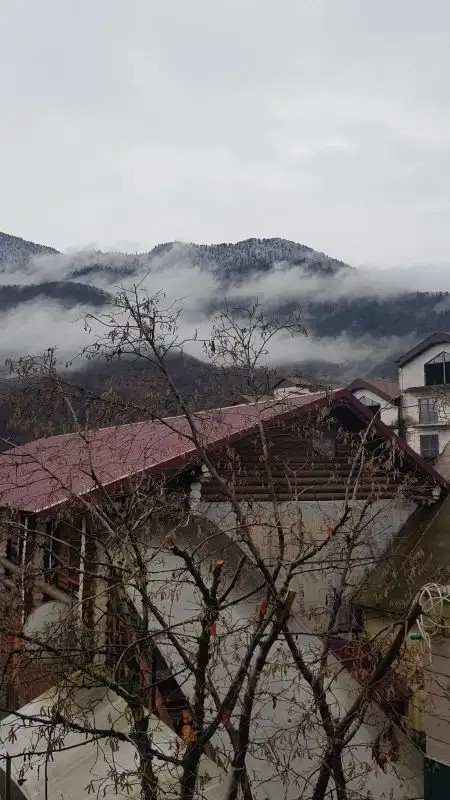 ДАРЬЯЛ ГОСТЕВОЙ ДОМ