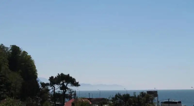 EGRISI