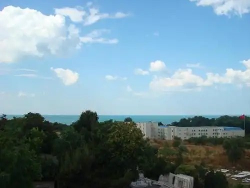 FLORYA KONAGI