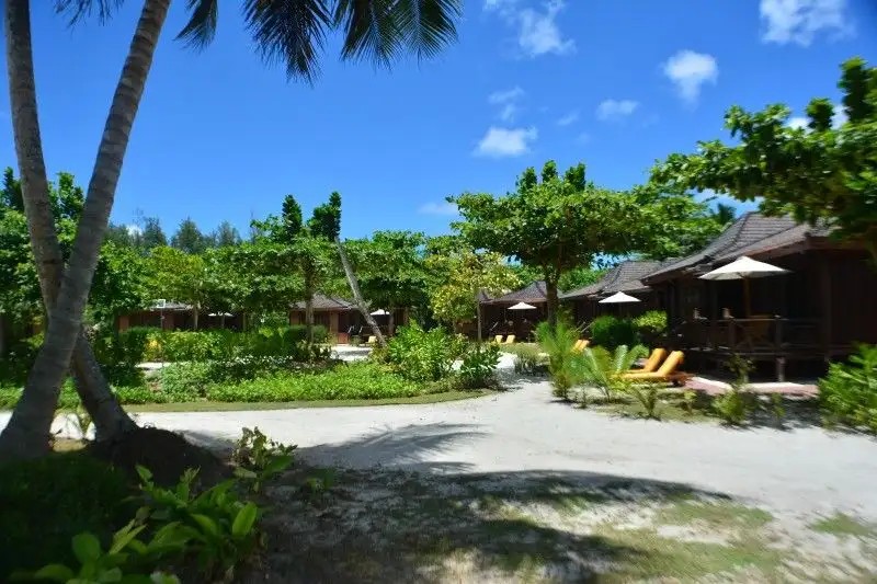 HELICONIA GROVE