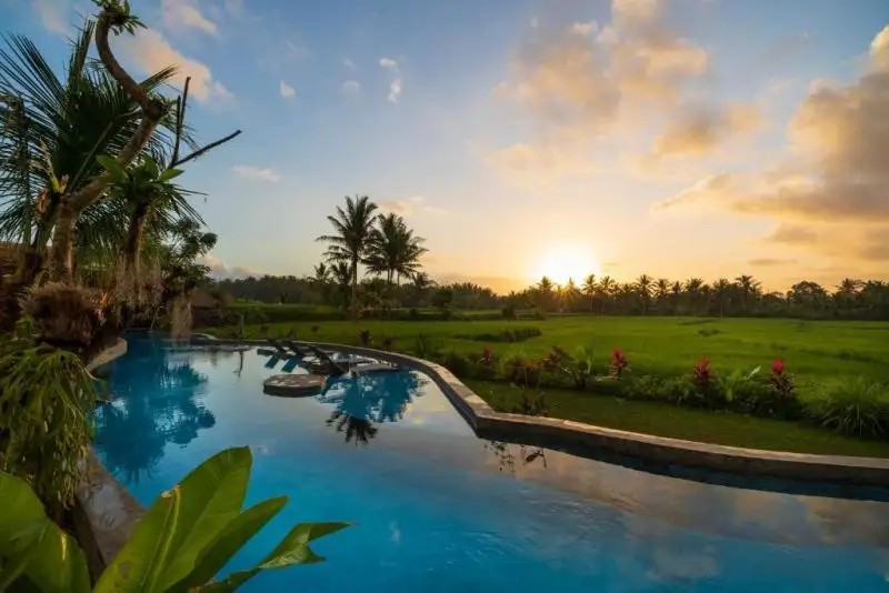 BEEHOUSE DIJIWA UBUD ADULTS ONLY 18+