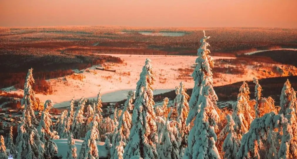 ХОСТЕЛ ДАНИЕЛЬ