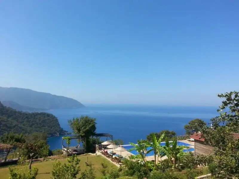 OLIVE GARDEN KABAK