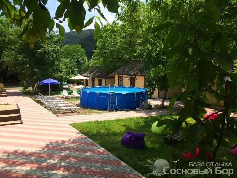 СОСНОВЫЙ БОР АРХИПО-ОСИПОВКА