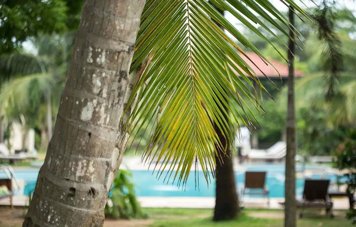 RANNA 212 BEACH RESORT (EX. PORTOFINO)