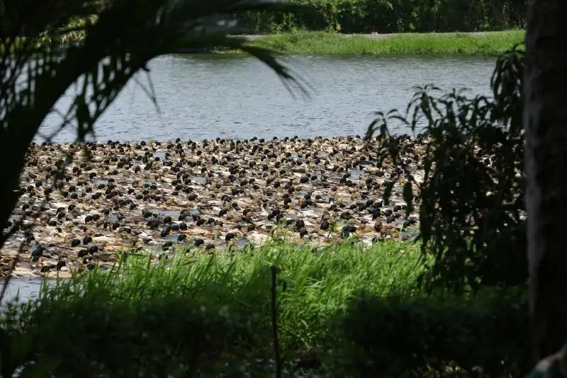 GREEN PALACE HEALTH RESORT