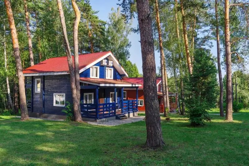 ДИВНЫЙ МИР СЕНИНО