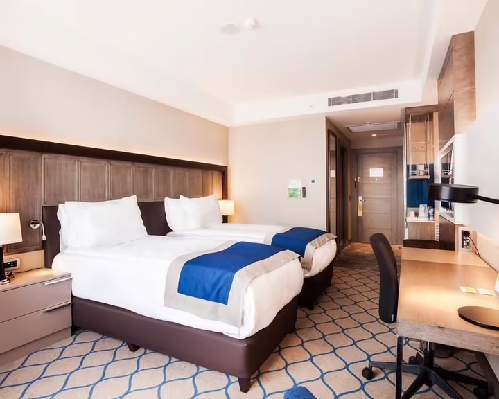HOLIDAY INN KAYSERI DUVENONU