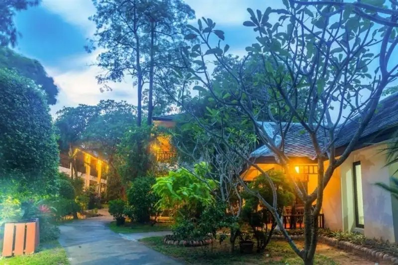 THE HIVE HOTEL SAMUI