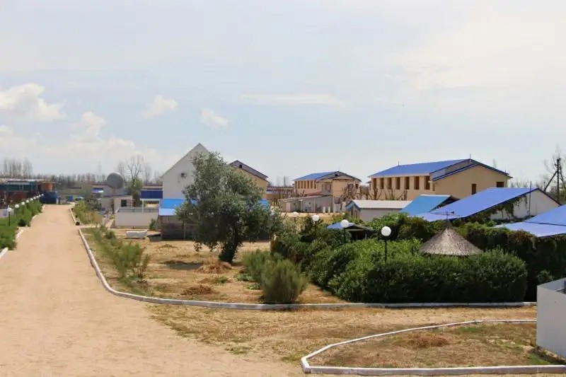 РОЗА ВЕТРОВ