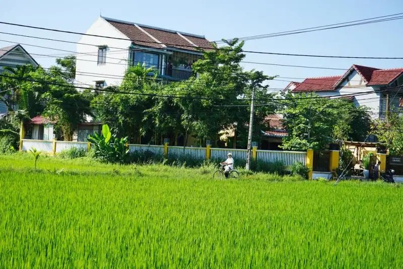 LEMONGRASS HOMESTAY