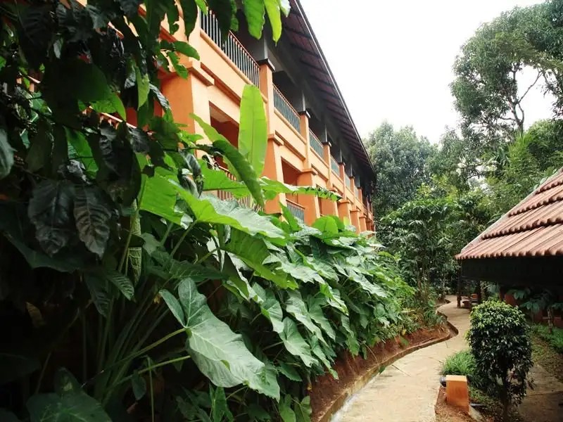 ABAD GREEN FOREST